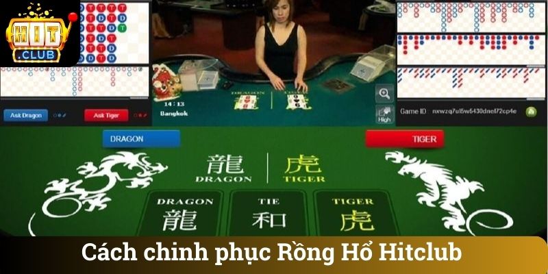 Cach chinh phuc Rong Ho Hitclub Cách chinh phục Rồng Hổ Hitclub
